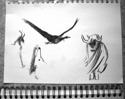 croquis d'animaux au fusain 02