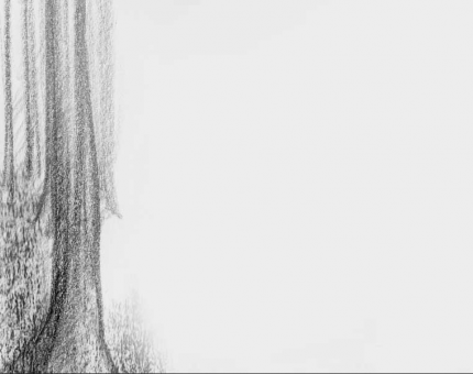 illustrations au fusain - site internet de Jean-Marie Séveno