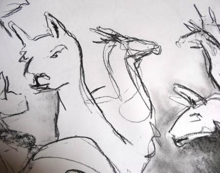 croquis d'animaux au jardin des Plantes 03