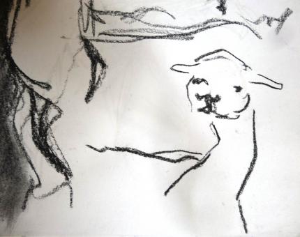 animal sketches at jardin des Plantes 04